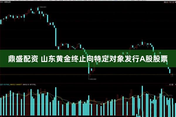 鼎盛配资 山东黄金终止向特定对象发行A股股票