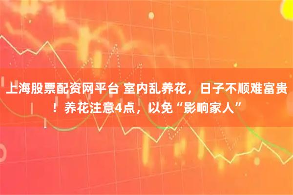上海股票配资网平台 室内乱养花,日子不顺难富贵!养花注意4点,以免“影响家人”